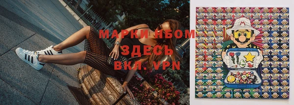 кокс Алексин