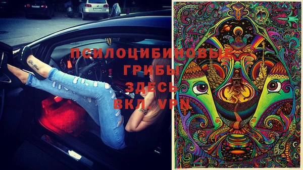 бутират Алзамай