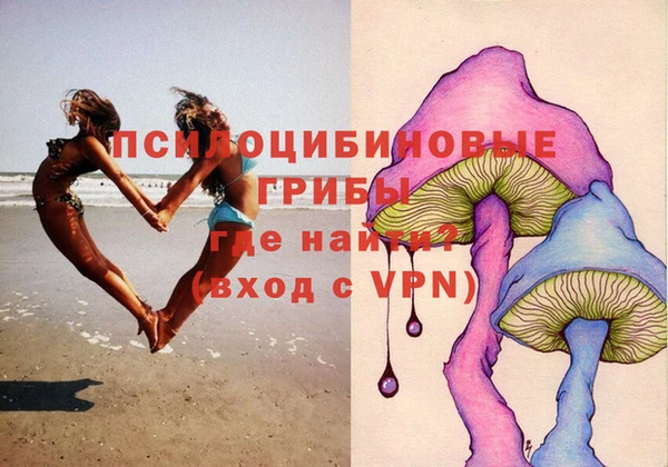 бутират Алзамай